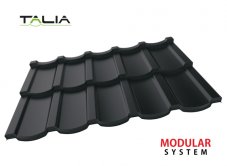 Modulová plechová strešná krytina Blachotrapez TALIA 30, 1 ks