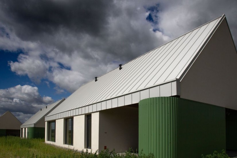 Plechová krytina BalexMetal Elegant 2,0, 1 m²