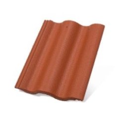 Terran SYNUS Evo Korall