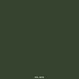 RAL 6020